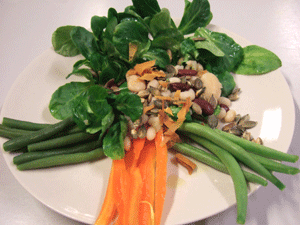 Nuslisalat